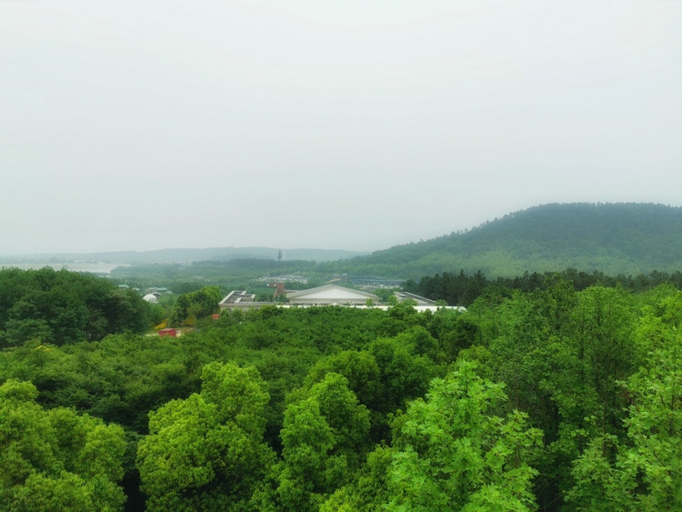 茅山宝盛园周边游玩,茅山宝盛园所有游乐设施