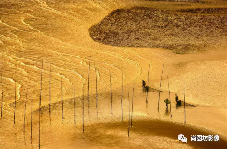 国际摄影展获奖作品,国际摄影获奖作品欣赏第88期