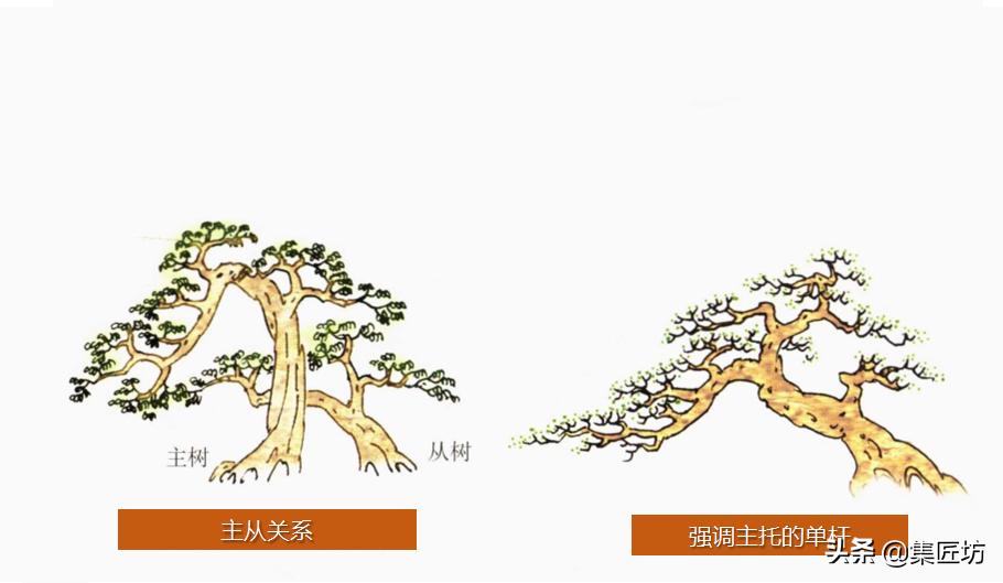 盆景创作的最佳方法,盆景初学入门技巧