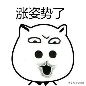 陌陌探探让女生迷失了自己,陌陌和探探找女朋友靠谱吗