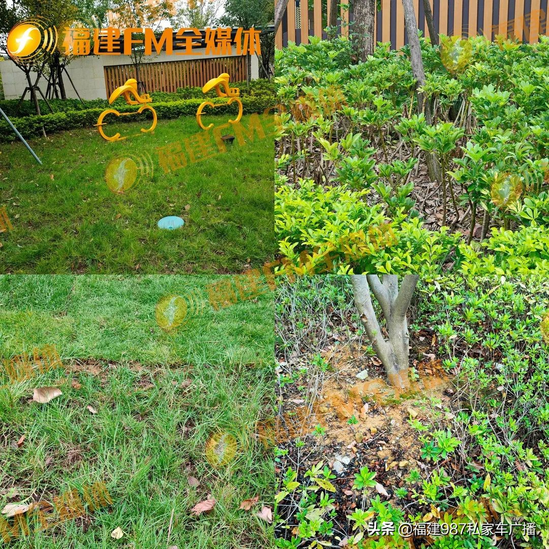 福州鲁能公馆多位业主,福州鲁能公馆二期优缺点