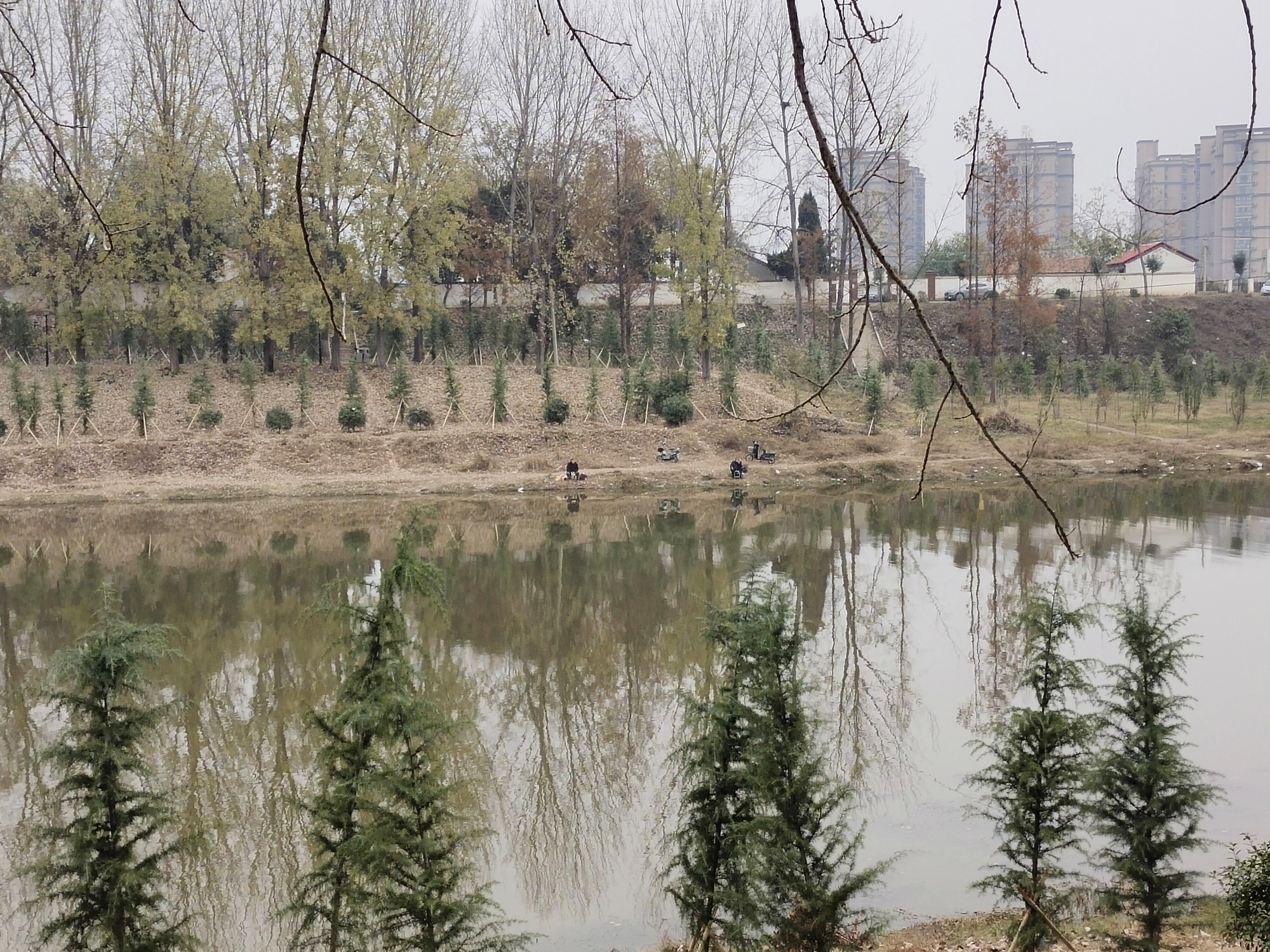 星特朗单筒望远镜测评,星特朗各级别天文望远镜实拍效果