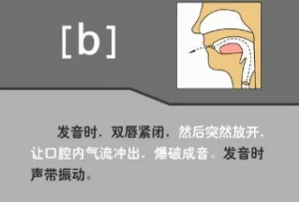 英语音标发音表48个音标正确读法,英语干货48个音标快速记忆法下