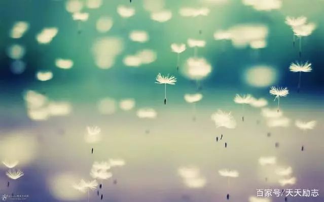 一念放下万般自在经典语录,一念放下万般自在视频