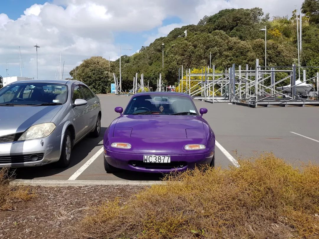 新西兰最适合开什么车,哪个国家人均拥有的汽车最多