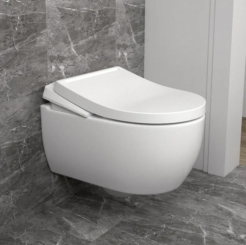 如何选坐便马桶,阿爽马桶怎么选