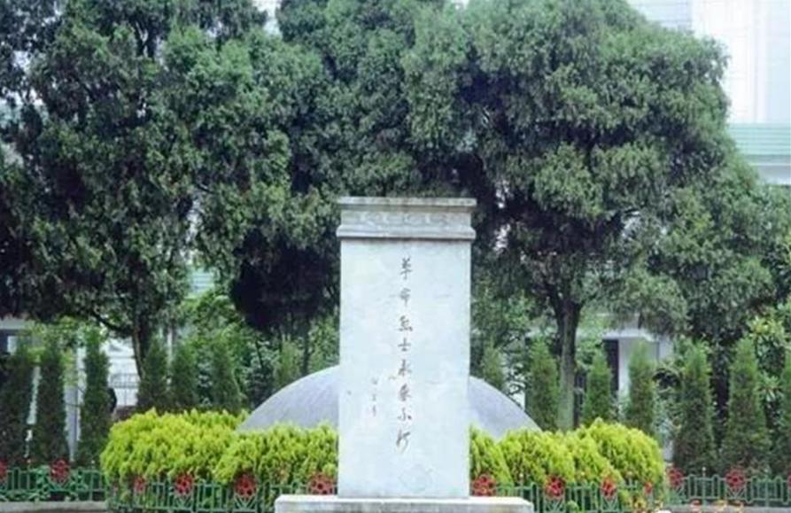 写祭扫烈士墓的优秀文章,祭扫革命烈士纪念碑感言