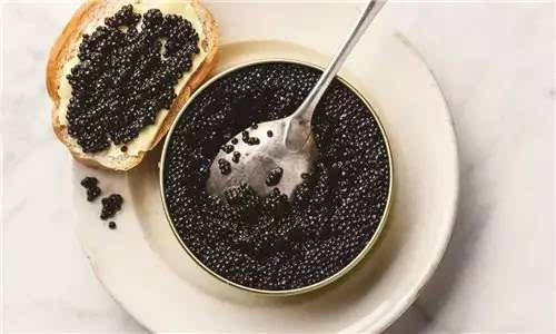 顶级食材黑鱼子酱,什么食材比鱼子酱还贵
