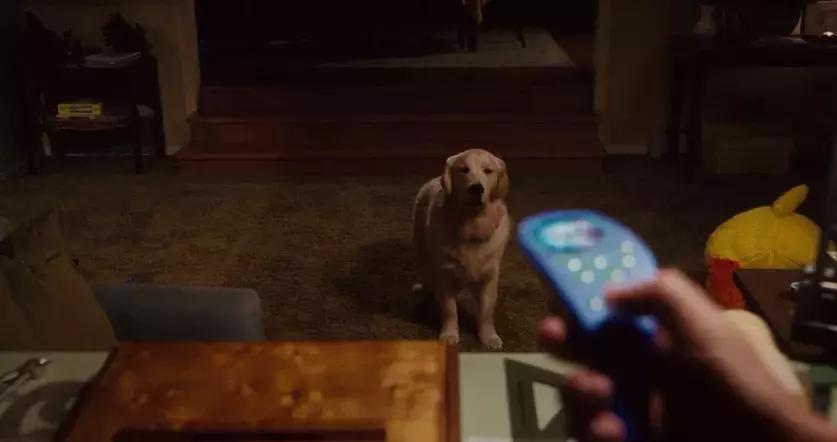 原来每个家庭都有这样一个小三,给这部影片跪了