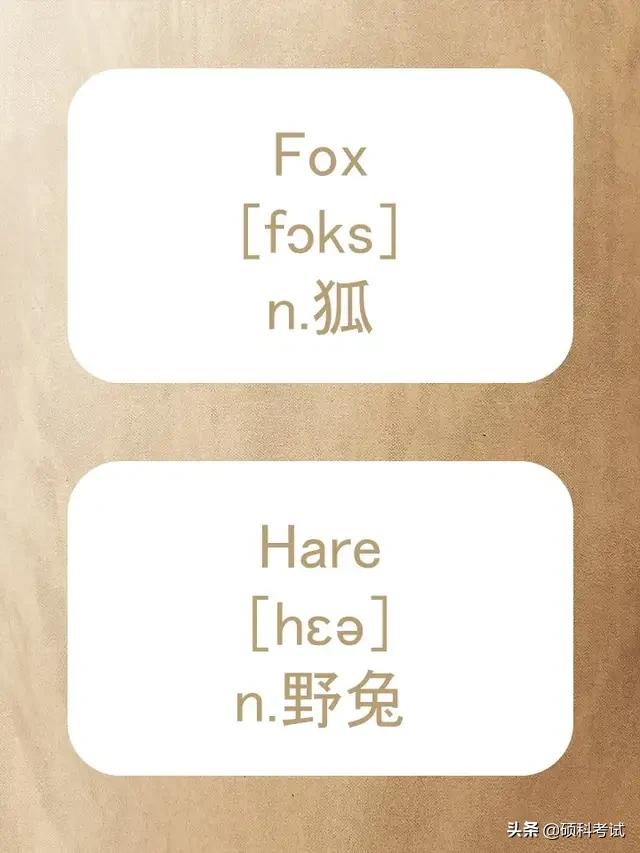 动物的英文拼写及音标,关于动物的单词及音标