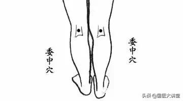 人体穴位图打通全身经络只需一穴,胃经经络穴位图口诀