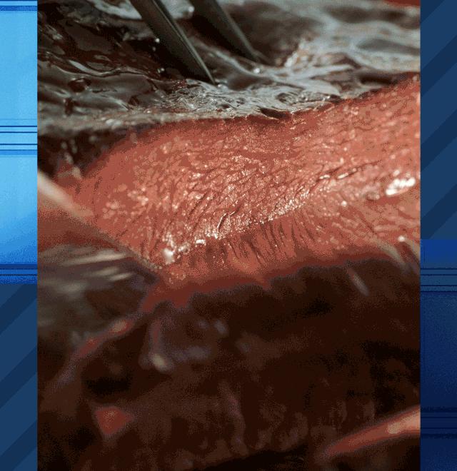 尝新买一送一|强降雪来袭,注意及时大饱口福