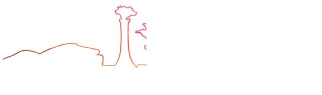 *共中**包头市委办公室包头市人民政府办公室印发《通知》包头市全面推行林长制实施方案