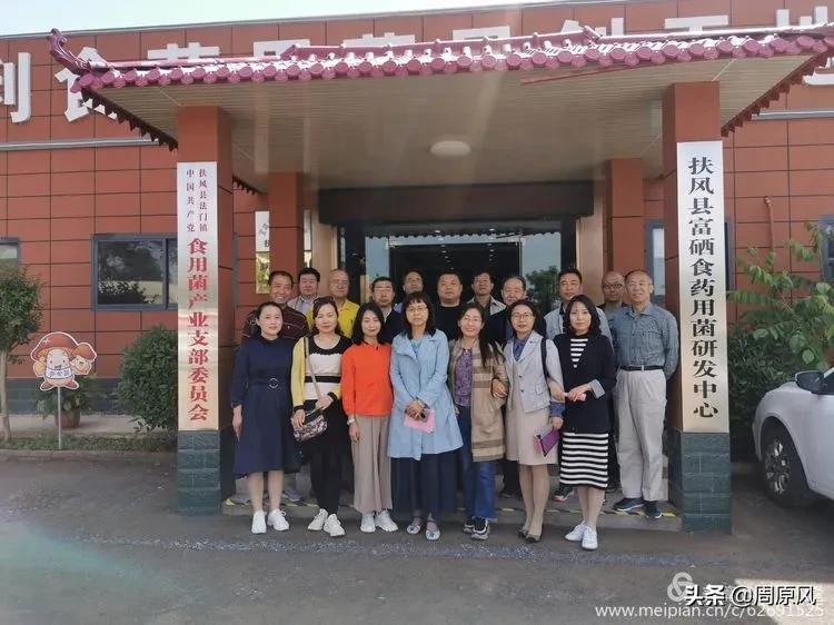 赴一场春日的邀约,五月赴一场与槐花的约会