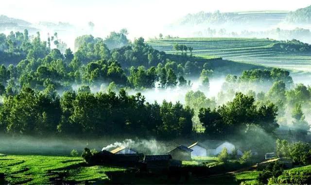 温柔的德牧视频,牧羊犬来福