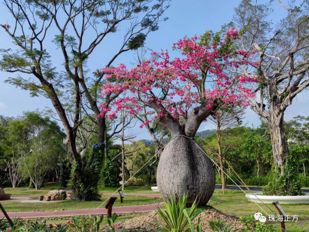 珠海买房过冬真实感受,在珠海买房十大秘诀