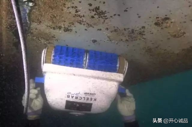 极限工作之船底清洁：想靠卖船底海鲜补贴几十万清洁费？别搞笑了