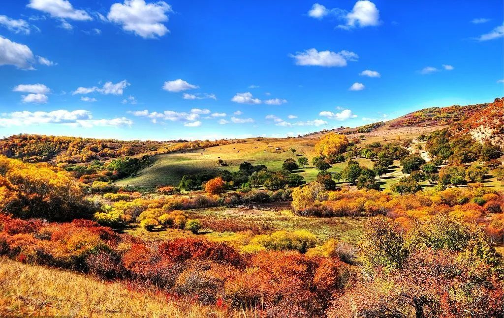 1011月错过它们，等于错过整个秋天！人少清净，随手一拍都是大片