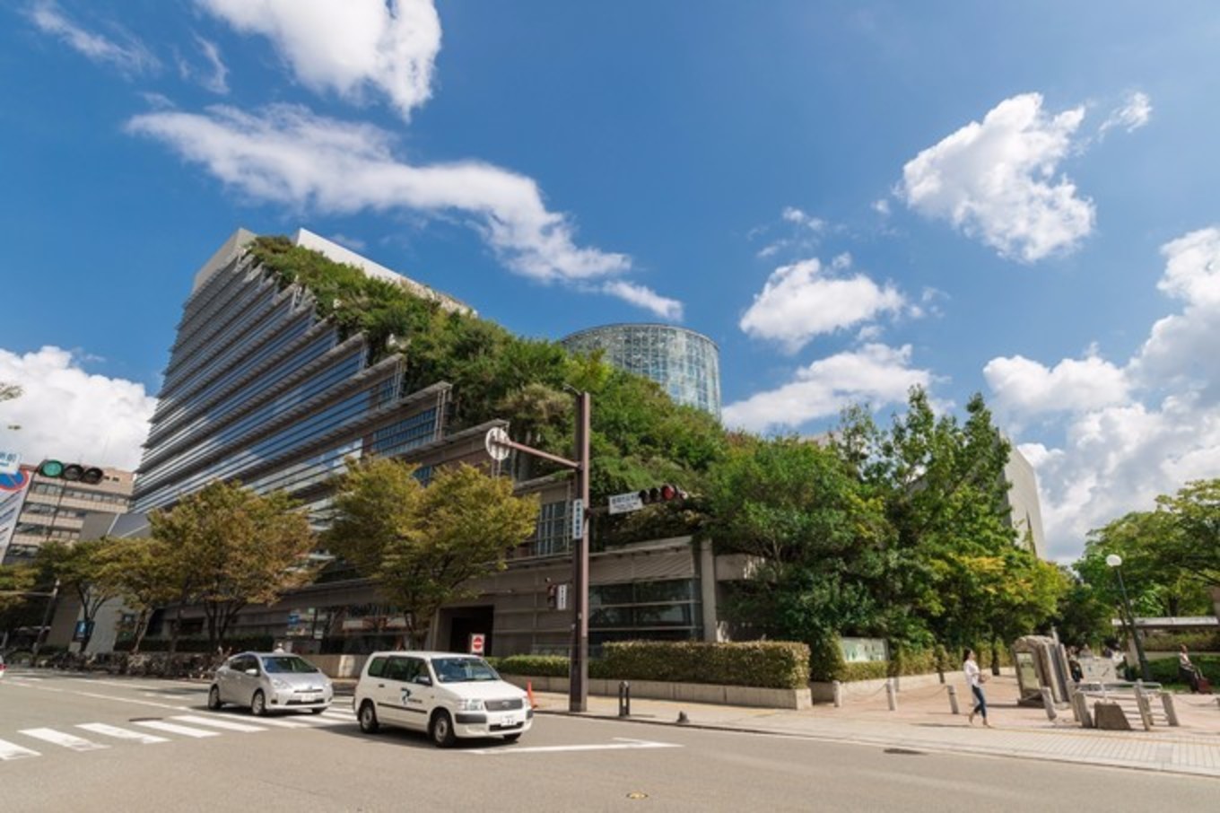 皇家加勒比选哪条航线,皇家加勒比海洋航线