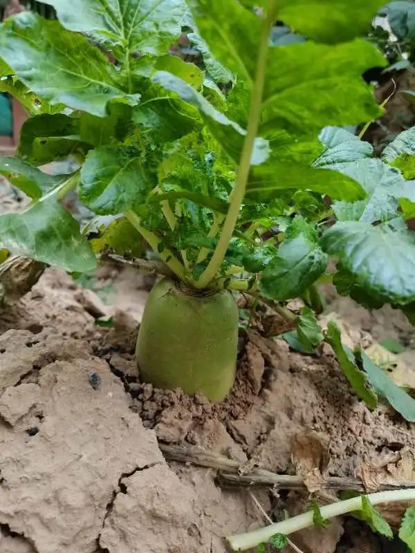 高新区汇爱国际幼稚园,高新区汇爱幼稚园的日常生活