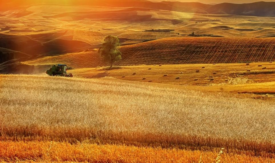 风吹麦浪诗词七绝,风吹麦浪诗词原创