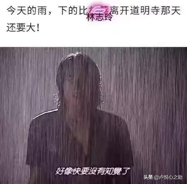 林志玲大婚：中国女人在情感中的三个结局，你是哪一种？