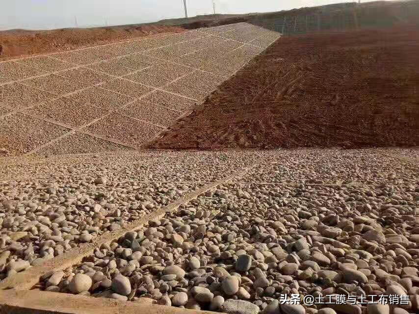 生态农业养殖价格表最新,绿色渔业养殖费用