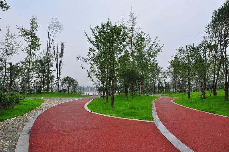 双流金马河绿道建设开始招标没有,成都双流空港绿道