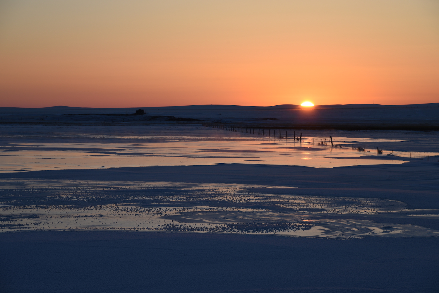 乌拉盖狼图腾拍摄地秋天去还行吗,乌拉盖狼图腾旅游