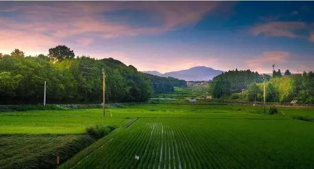 世界农机的发展史,日本农机与中国农机比较