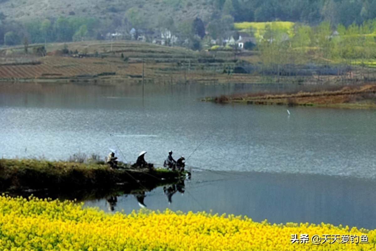 钓鱼技巧：钓鱼遇上刮风天，经验告诉你，这些风向鱼情更好
