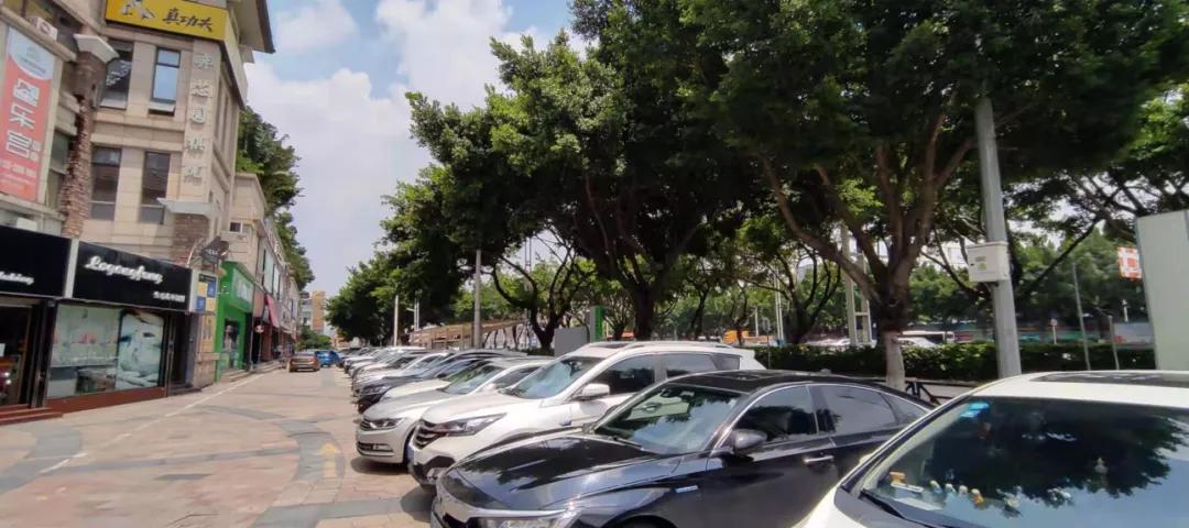 广州番禺越秀大学城星汇城踩盘,番禺踩盘