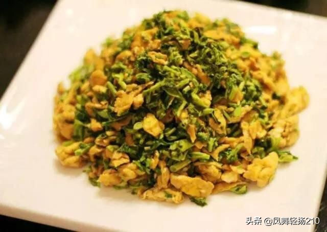 为什么谷雨后就不能吃香椿了,谷雨吃香椿图片