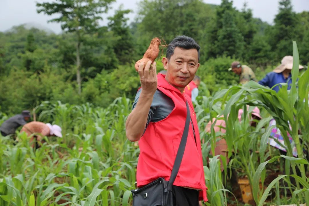 我为群众办实事法院篇,我为群众办实事工作计划法院篇