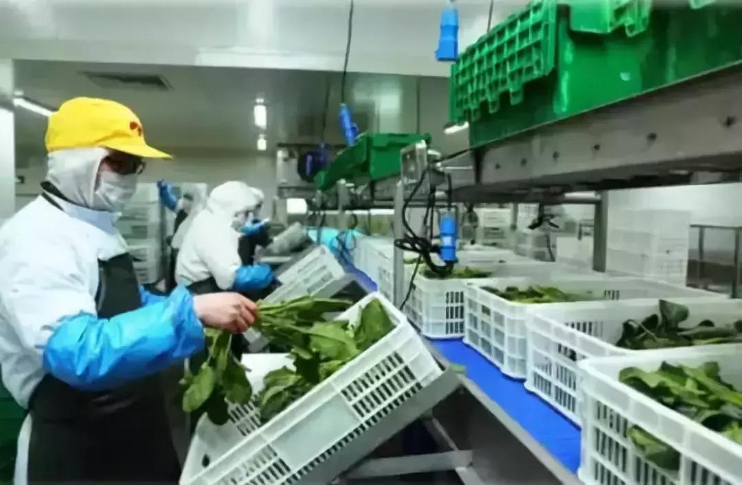 团餐发展趋势,团餐的前景与问题