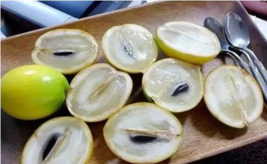 适合南方种植的名贵水果,什么水果树适合南方的庭院种植