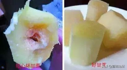 比毒蛇还毒的虫子,比毒蛇还要毒的东西