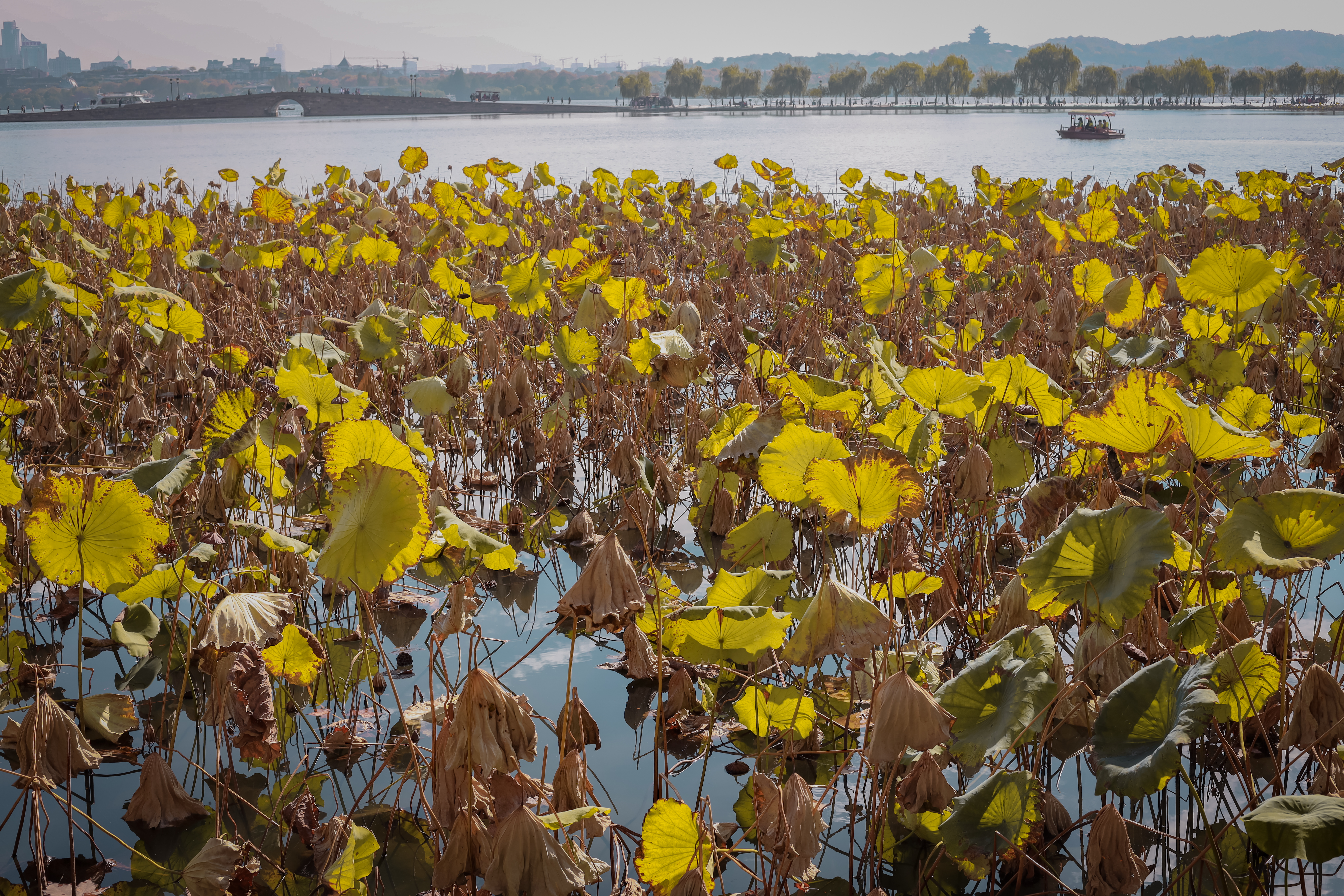 五一假期的杭州西湖,国庆假期杭州西湖