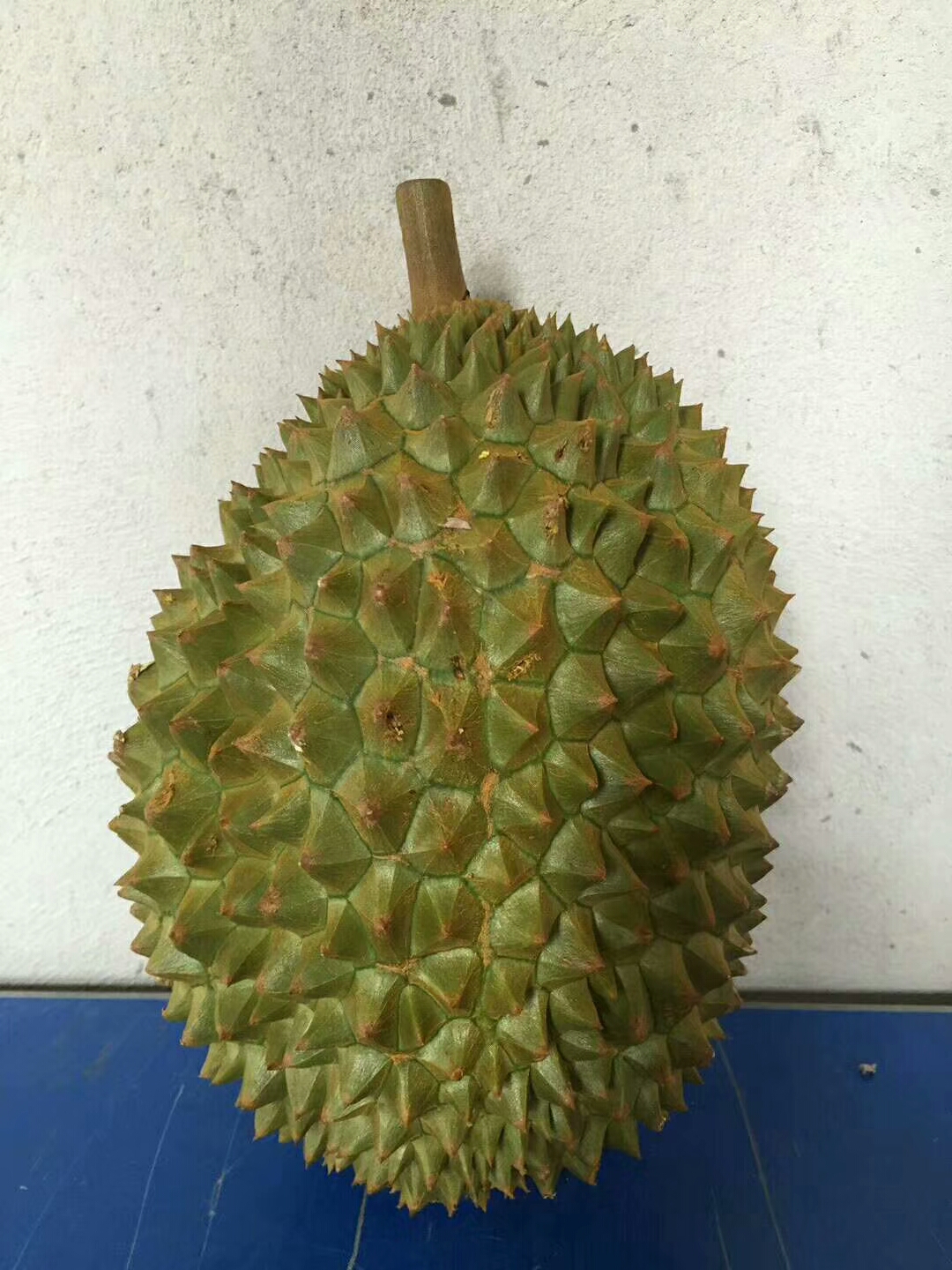 榴莲品种d13,泰国榴莲d197是什么品种