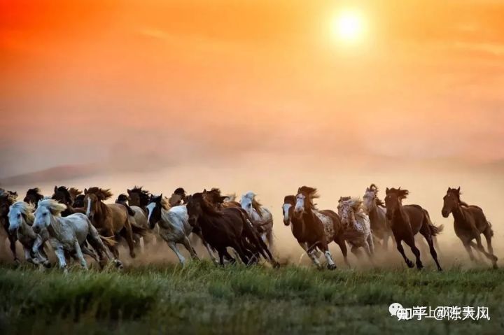 内蒙古各地公务员工资排行,内蒙古自治区公务员工资标准表