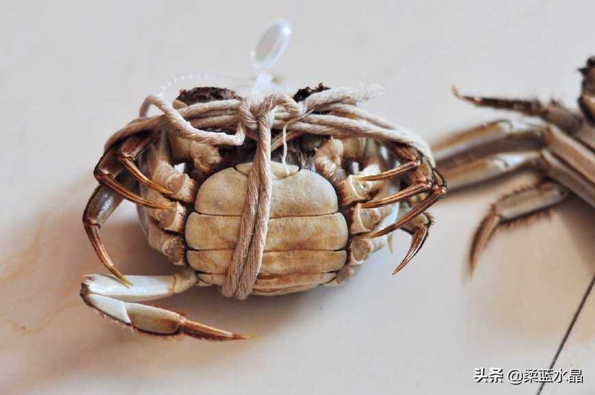大闸蟹怎么挑肉最好吃蟹黄多,怎样的大闸蟹才是好螃蟹