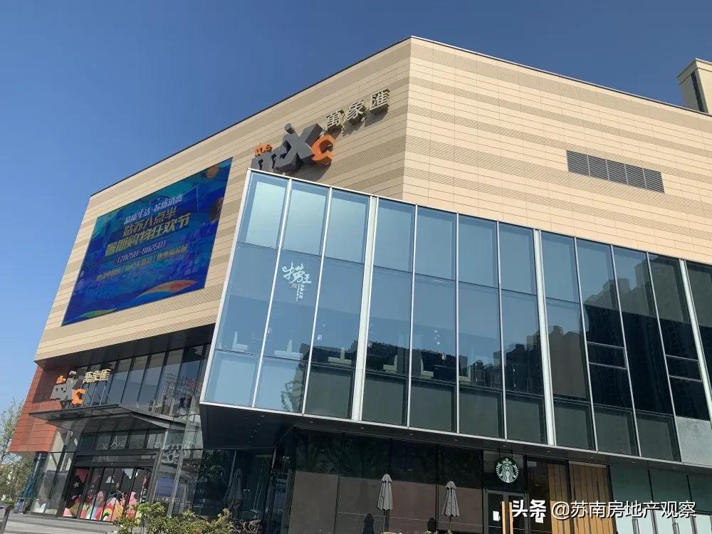 为什么我们都爱苏轼,为什么我们都爱梵高