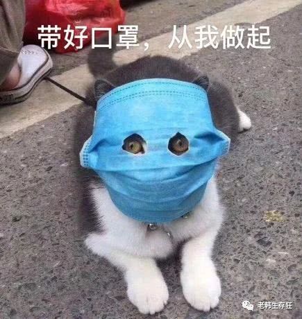 地震求生与自救技巧,生存狂在野外怎么逃生