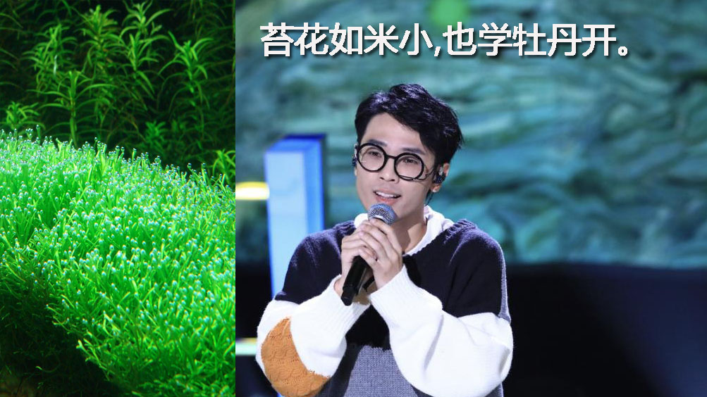 2020年中国好声音10大金曲排行榜,单依纯压轴,4首是原创