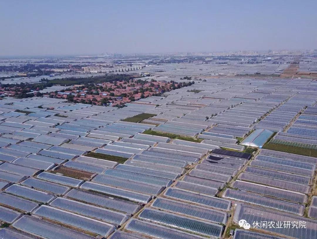 致富果的产业振兴梦,莫让脱贫变为懒惰的借口