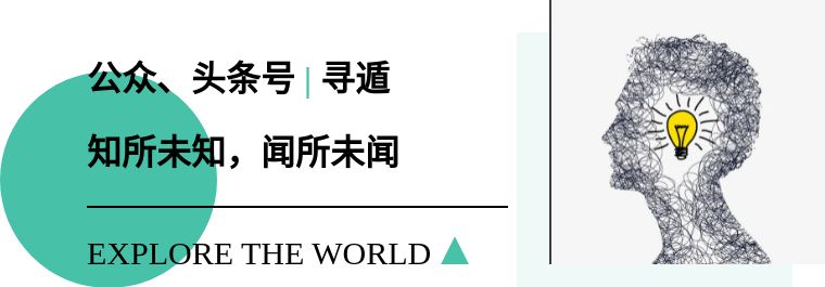 人类表情包视频合集,表情包人类世界