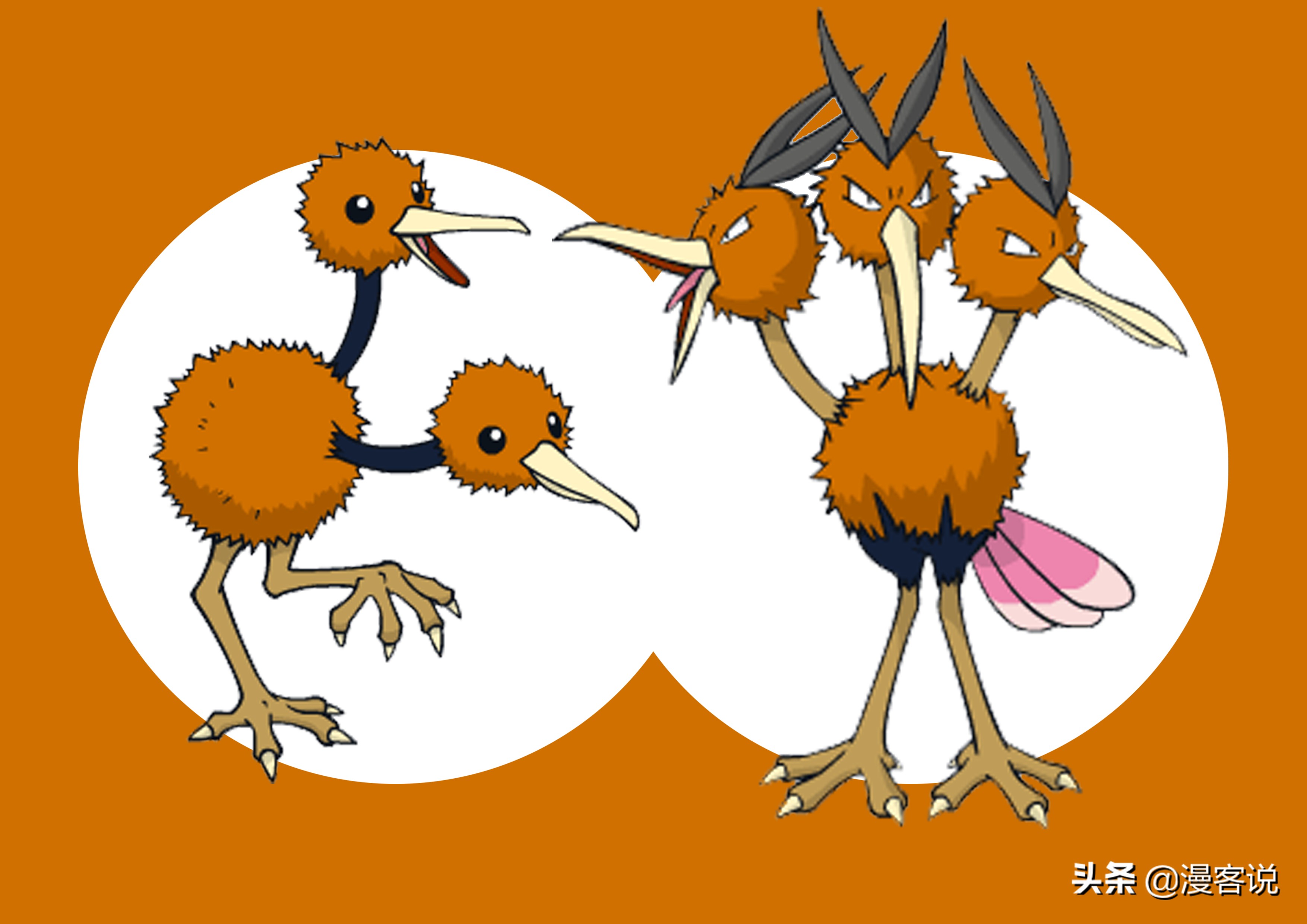 精灵宝可梦除神兽外最强的宝可梦,精灵宝可梦进化后超厉害的精灵