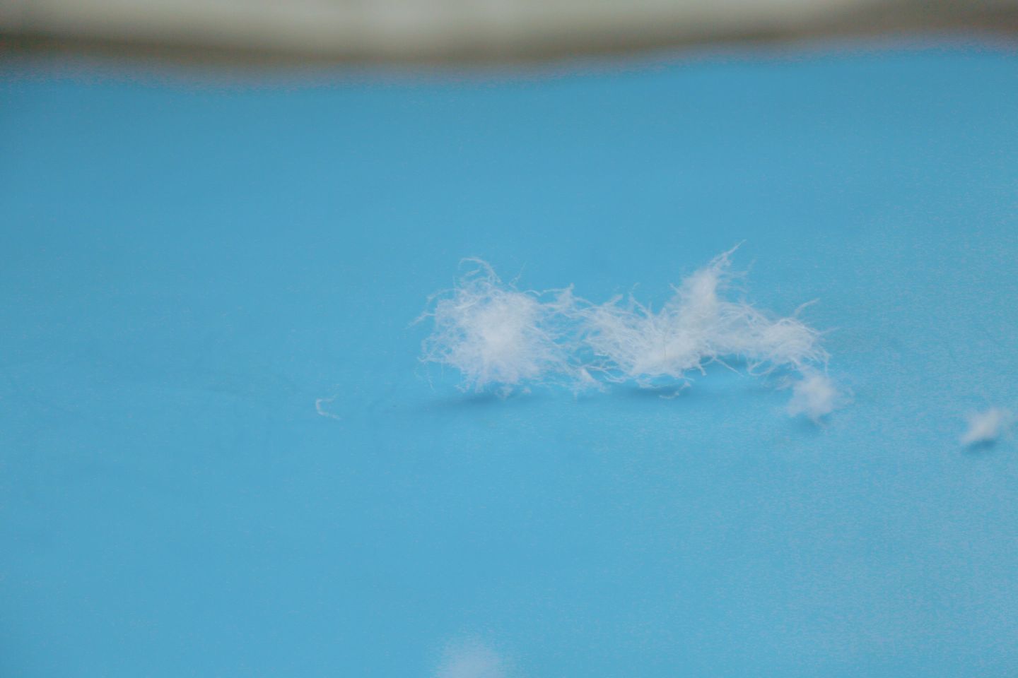 网易严选95%白鹅绒被,面对寒冬不畏惧