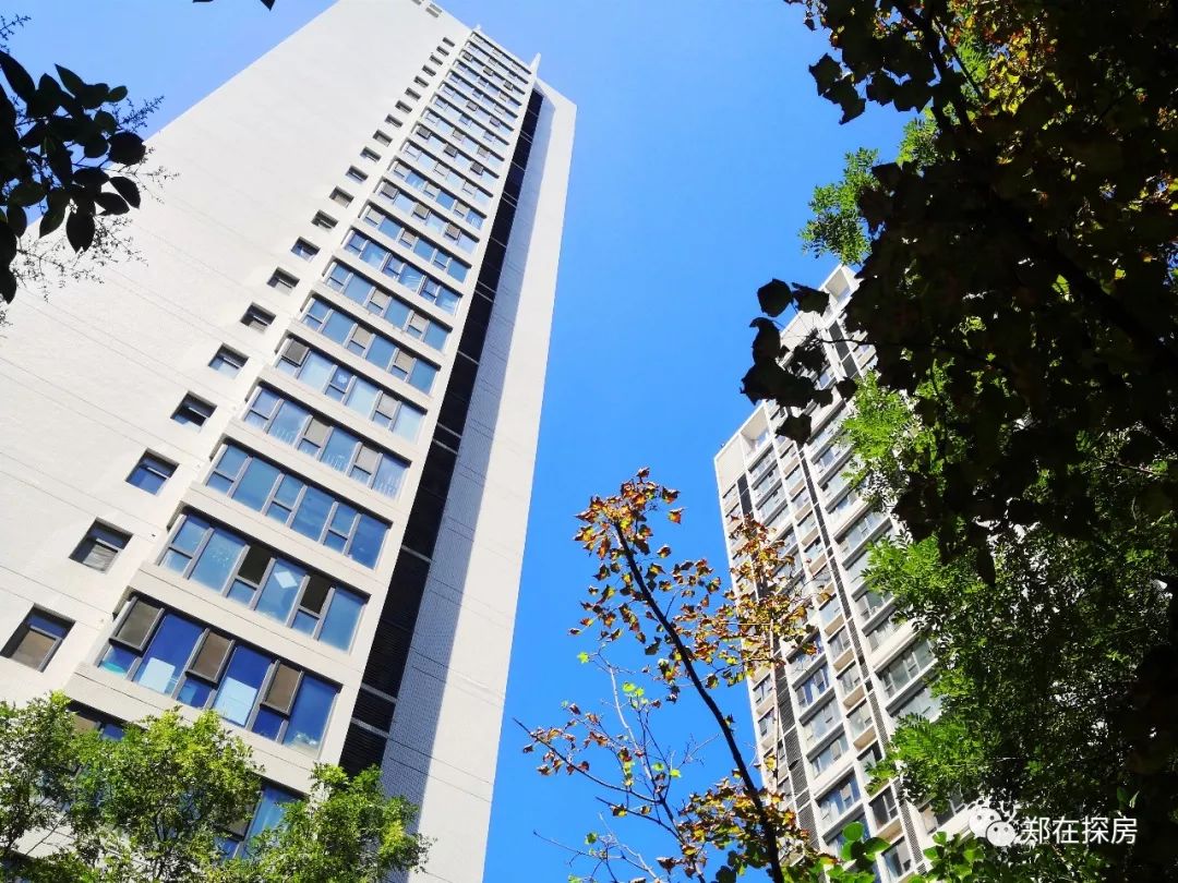 永威东棠属于哪个社区,永威东棠小区门口