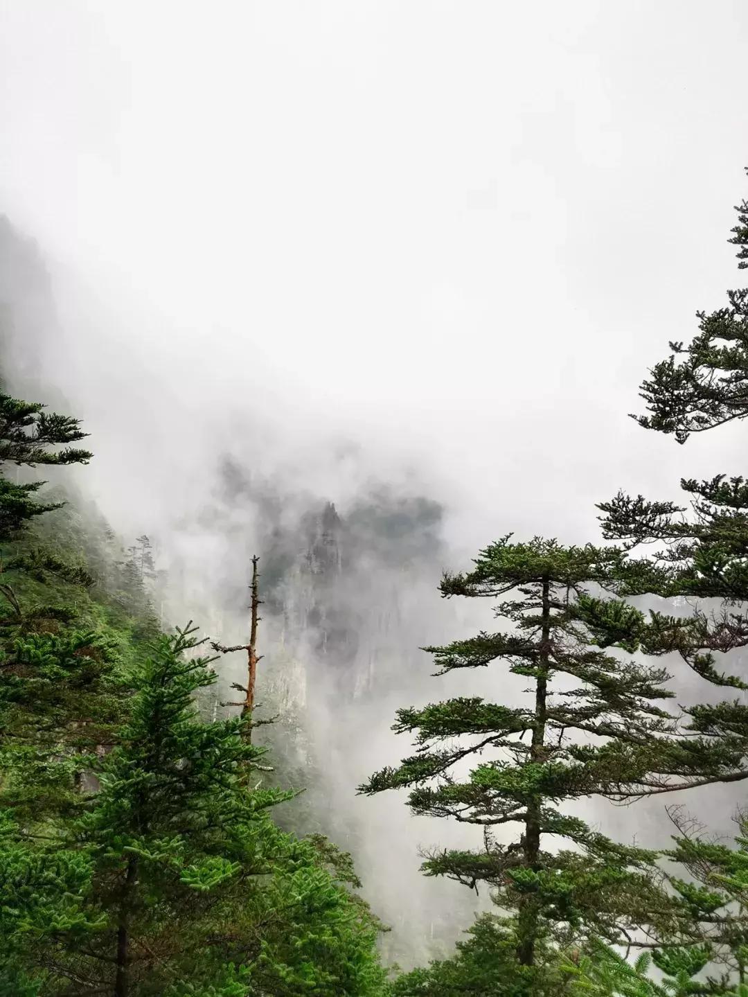 神农架攻略书,重庆出发神农架三日自驾游攻略